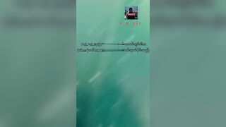 ထီးလေးကွယ်ပြီးခိုးစား ချောင်းရိုက်နဲ့မိ