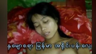 နှမျောစရာ မြန်မာ အရိုင်းပန်းလေး