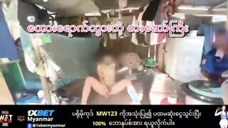 တောရောက်သွားတဲ့စားဆော်ကြီး
