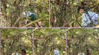 ကျေ-ာ-င်-းမ-သွာ-းပဲ- တောတိုးတဲ့ ကျေ-ာ-င်း-သူ-အ-တွဲ