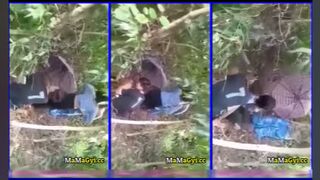 ဒီလိုကောင်မျိုးတွေက ဆော့ရှိတယ်